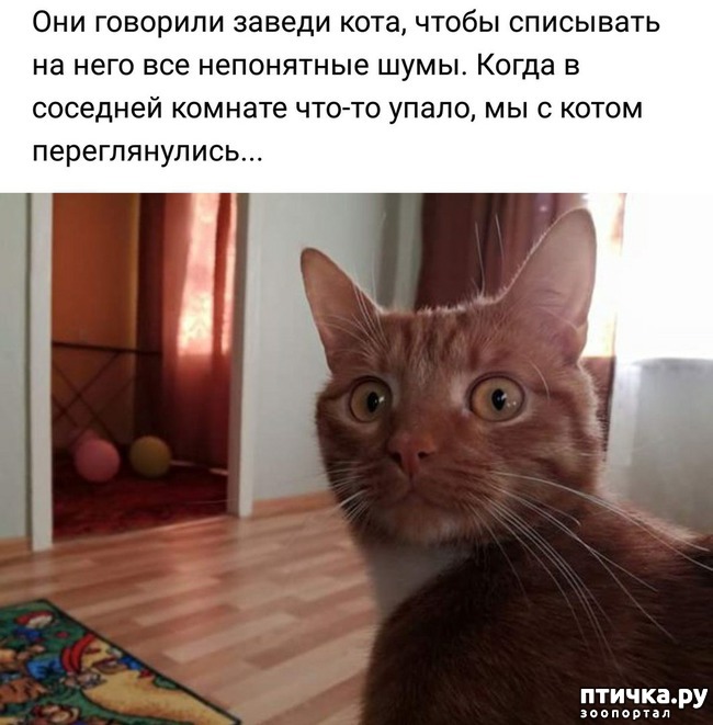 ���� 11: ������� �������� � ������� � �� ������ � ����))