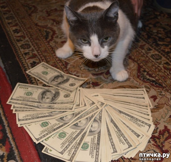 ���� 12: ������� �������� � ������� � �� ������ � ����))