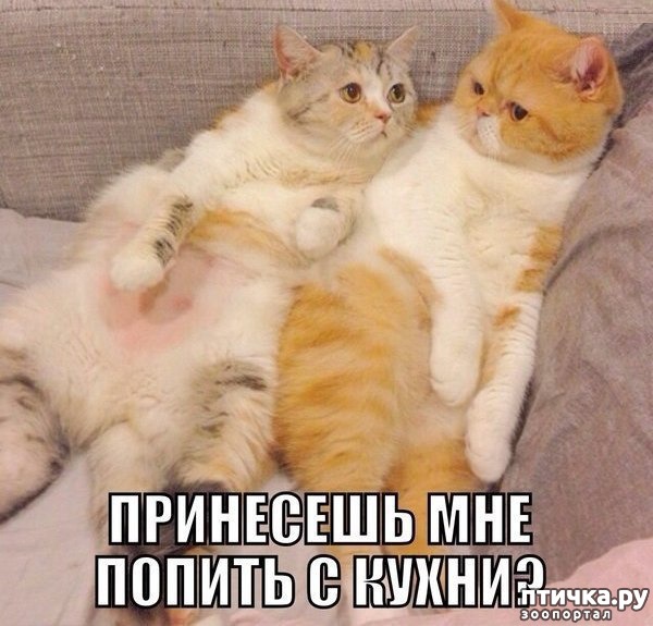 ���� 13: ������� �������� � ������� � �� ������ � ����))