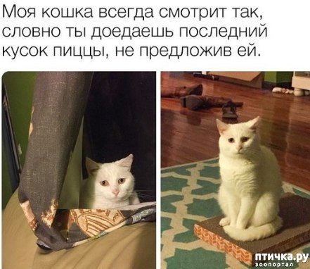 ���� 14: ������� �������� � ������� � �� ������ � ����))