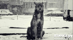 ����: ��� �������� � ����, ��� �� ������� ��������� �������� ���