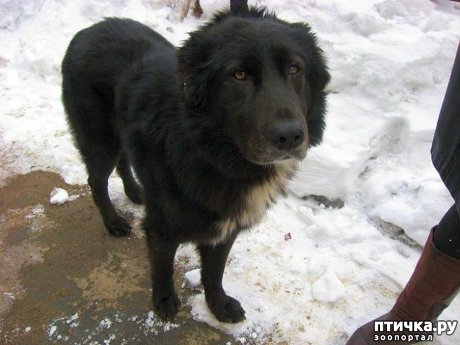 ���� 2: ��� �������� � ����, ��� �� ������� ��������� �������� ���