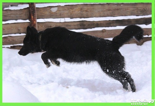 ���� 5: ��� �������� � ����, ��� �� ������� ��������� �������� ���