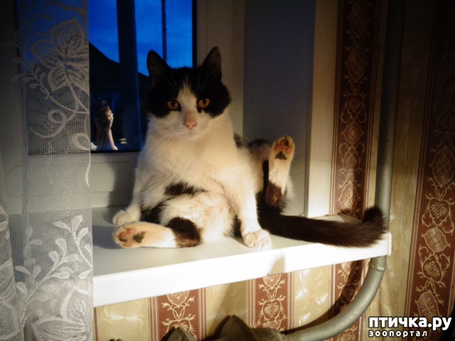 ���� 1: �����������:��� ������� ����