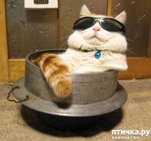 ����: 20 ������ ���������� ����� ���� ������ � ������� - 2