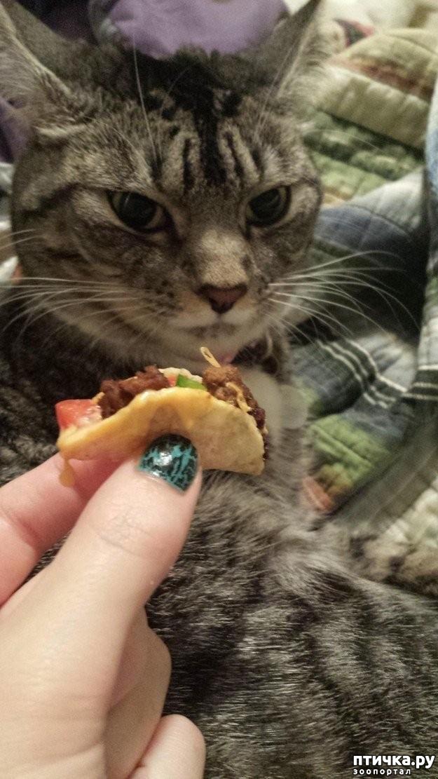 ���� 2: 20 ������ ���������� ����� ���� ������ � ������� - 2