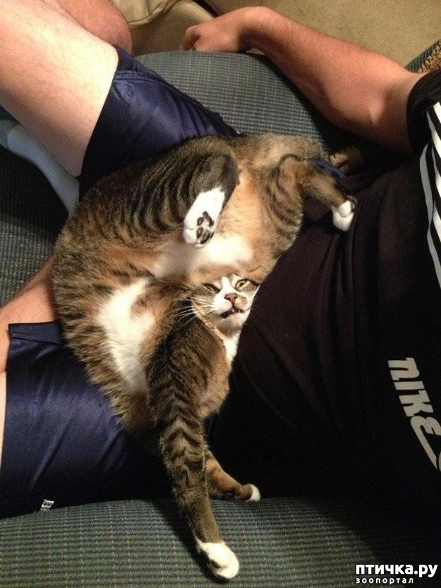 ���� 3: 20 ������ ���������� ����� ���� ������ � ������� - 2