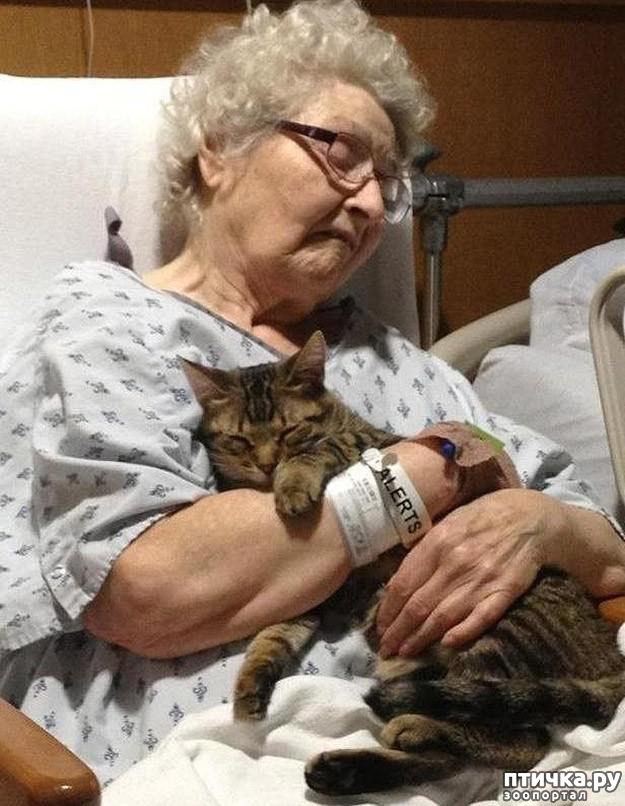 ���� 5: 20 ������ ���������� ����� ���� ������ � ������� - 2