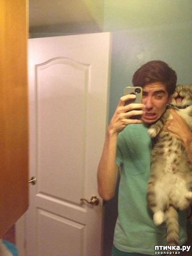 ���� 6: 20 ������ ���������� ����� ���� ������ � ������� - 2