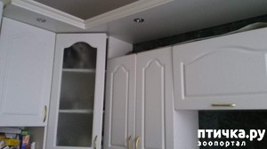 ����: ������� �����, ����� 2.