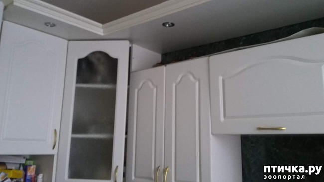 ���� 1: ������� �����, ����� 2.