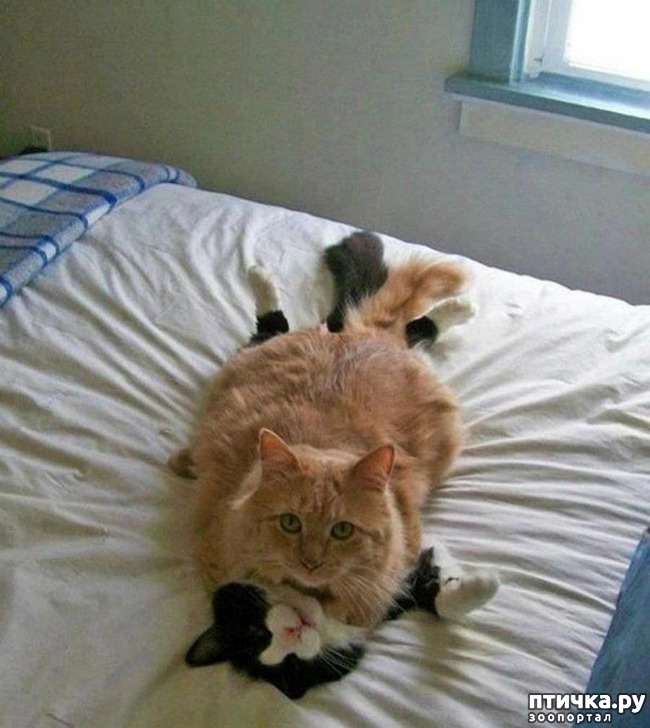 ���� 11: 20 ������ ���������� ����� ���� ������ � ������� - 2