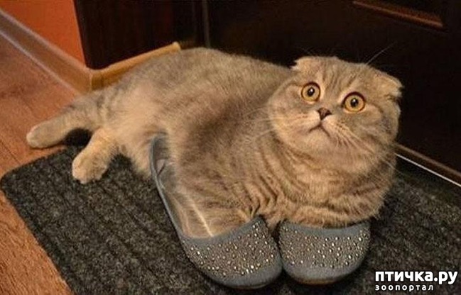 ���� 12: 20 ������ ���������� ����� ���� ������ � ������� - 2