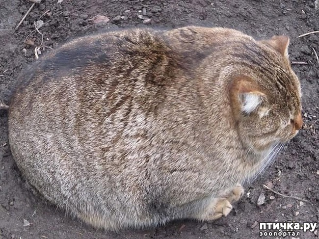 ���� 13: 20 ������ ���������� ����� ���� ������ � ������� - 2