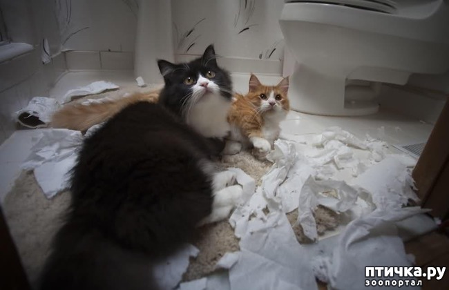 ���� 14: 20 ������ ���������� ����� ���� ������ � ������� - 2