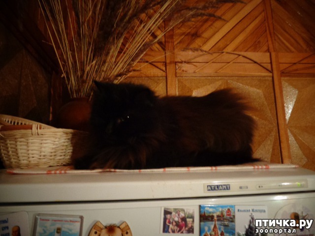 ���� 2: �����������:��� ������� ����