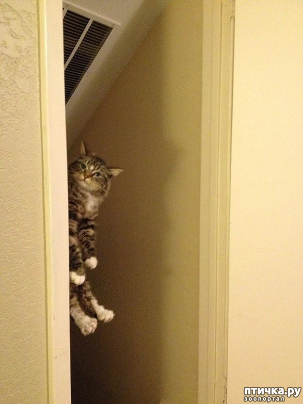 ���� 15: 20 ������ ���������� ����� ���� ������ � ������� - 2