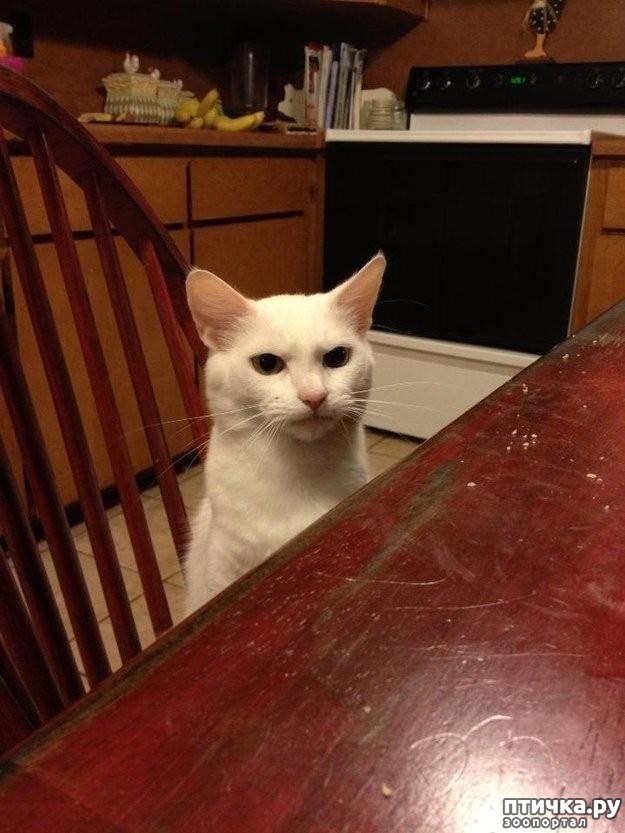 ���� 17: 20 ������ ���������� ����� ���� ������ � ������� - 2