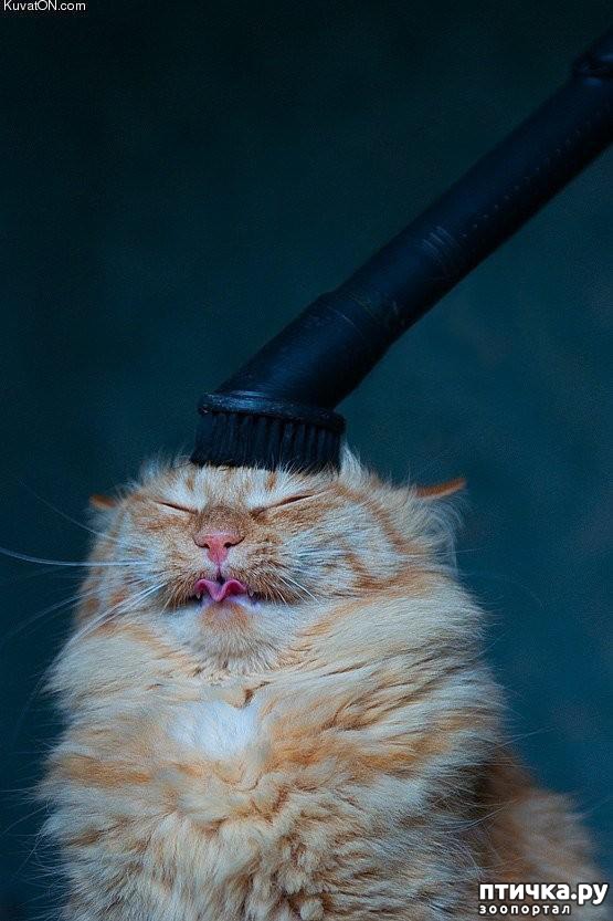 ���� 18: 20 ������ ���������� ����� ���� ������ � ������� - 2