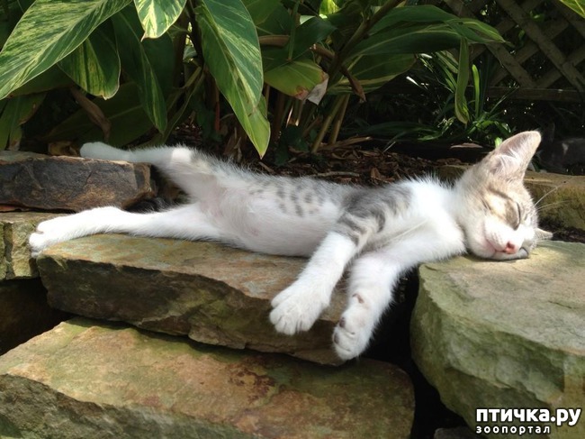 ���� 19: 20 ������ ���������� ����� ���� ������ � ������� - 2