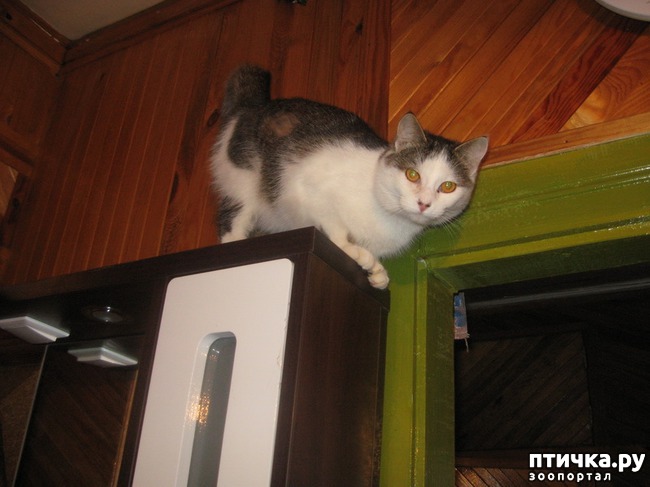 ���� 5: �����������:��� ������� ����