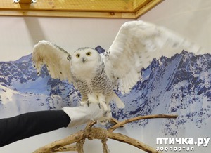 ����: ���������� �������