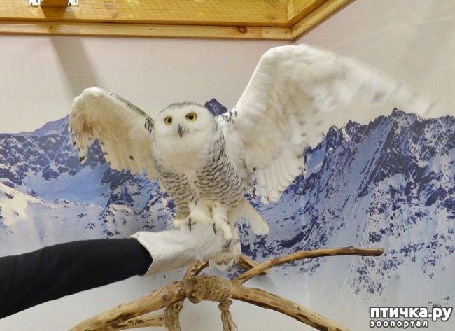 ���� 1: ���������� �������