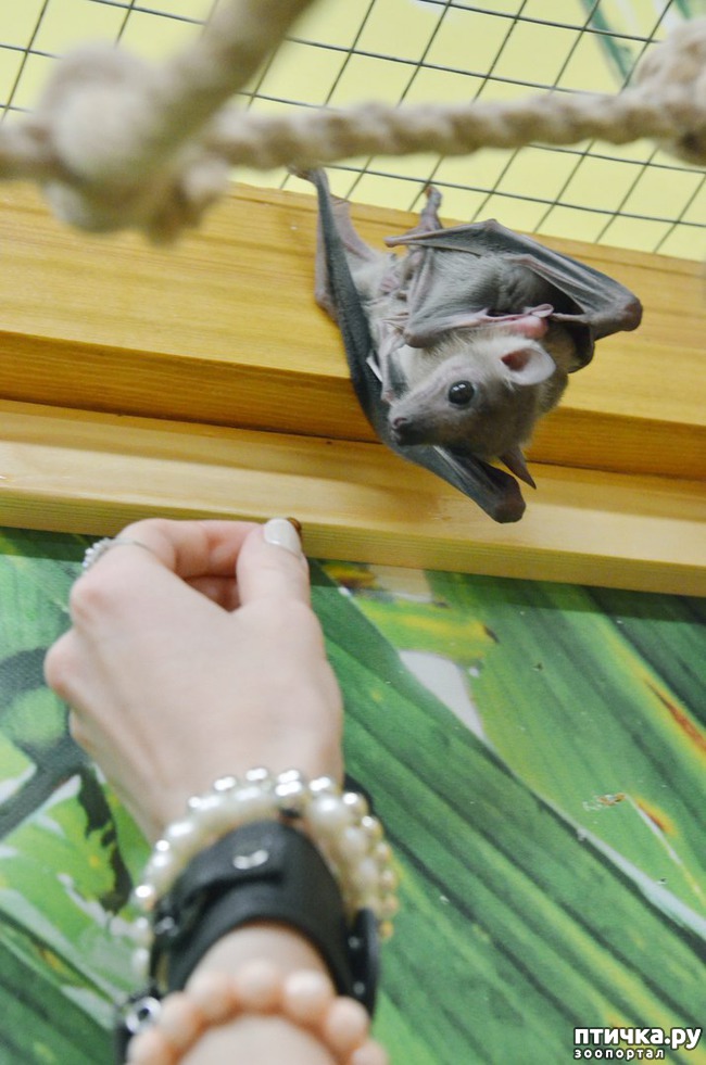 ���� 2: ���������� �������