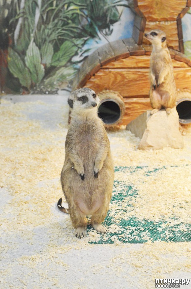 ���� 3: ���������� �������