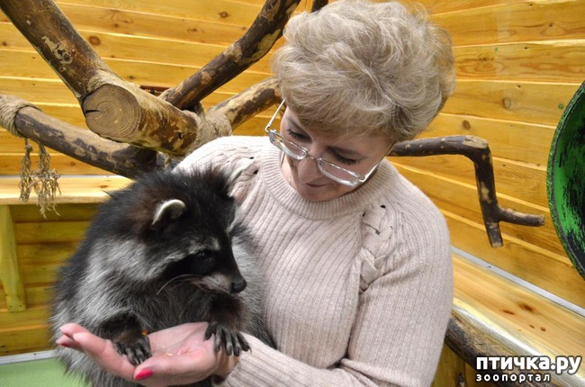 ���� 4: ���������� �������