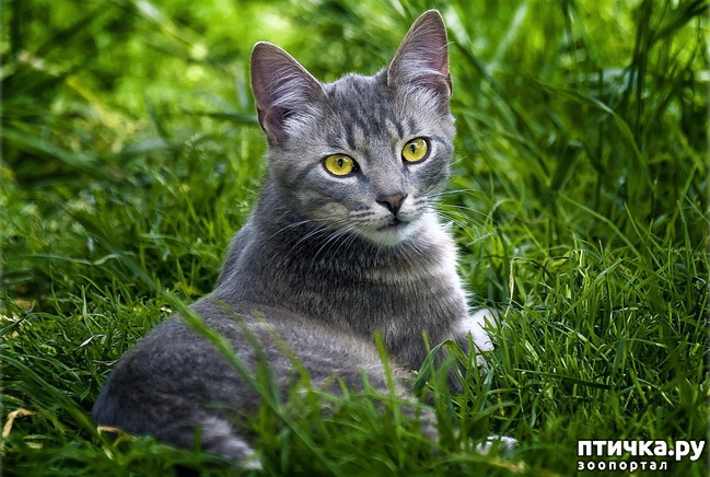 ���� 1: ������� ��� ����-���������� � ������� ������