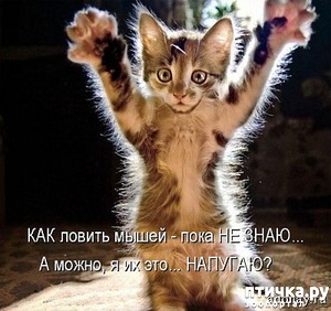 ����: ���������� �����������: �������� ����� ������� ������� ������!