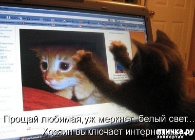 ���� 2: ���������� �����������: �������� ����� ������� ������� ������!