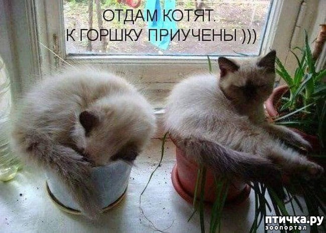 ���� 3: ���������� �����������: �������� ����� ������� ������� ������!