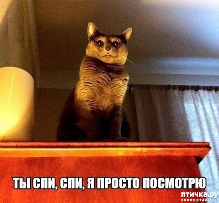 ���� 5: ���������� �����������: �������� ����� ������� ������� ������!