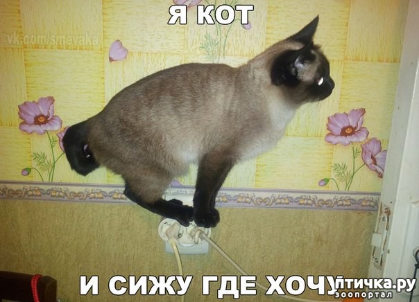 ���� 6: ���������� �����������: �������� ����� ������� ������� ������!