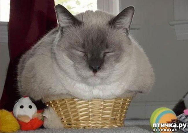 ���� 8: ���������� �����������: �������� ����� ������� ������� ������!