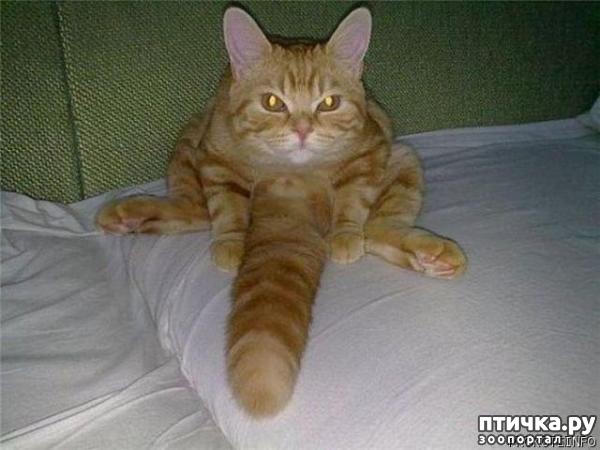 ���� 9: ���������� �����������: �������� ����� ������� ������� ������!