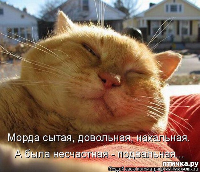 ���� 10: ���������� �����������: �������� ����� ������� ������� ������!