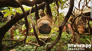 ����: �����-����� 4