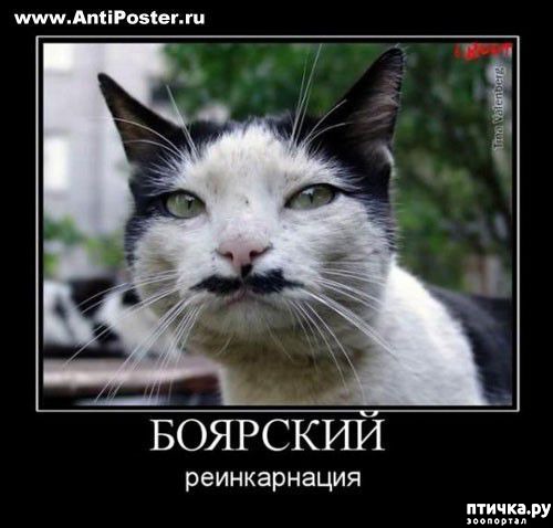 ���� 11: ���������� �����������: �������� ����� ������� ������� ������!