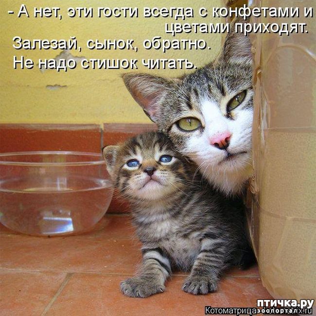 ���� 12: ���������� �����������: �������� ����� ������� ������� ������!