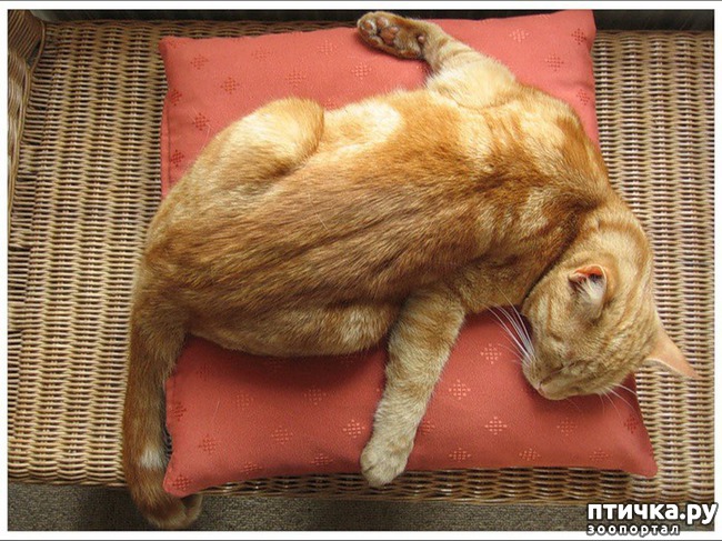 ���� 13: ���������� �����������: �������� ����� ������� ������� ������!