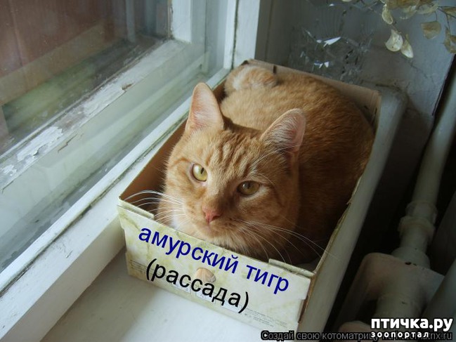 ���� 14: ���������� �����������: �������� ����� ������� ������� ������!