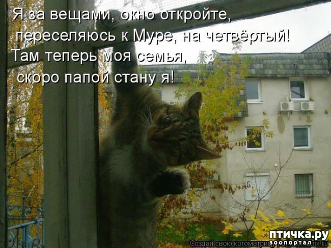 ���� 15: ���������� �����������: �������� ����� ������� ������� ������!