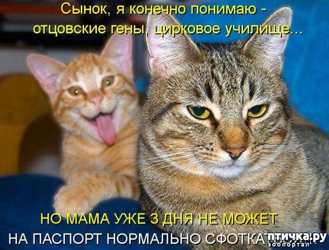 ���� 16: ���������� �����������: �������� ����� ������� ������� ������!