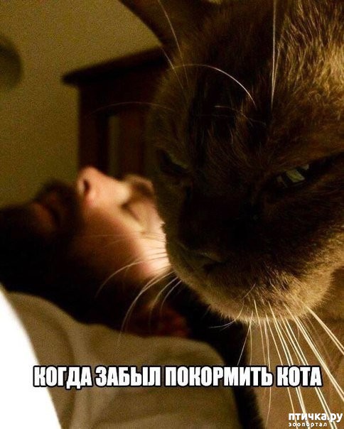 ���� 17: ���������� �����������: �������� ����� ������� ������� ������!