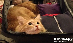 ����: 15 ��������, ������� ������������ ������, ��� �� �� ����� � �����