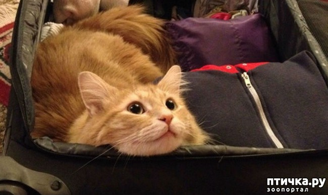 ���� 1: 15 ��������, ������� ������������ ������, ��� �� �� ����� � �����