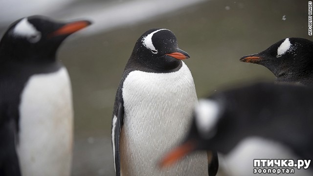 ���� 6: �����-����� 4